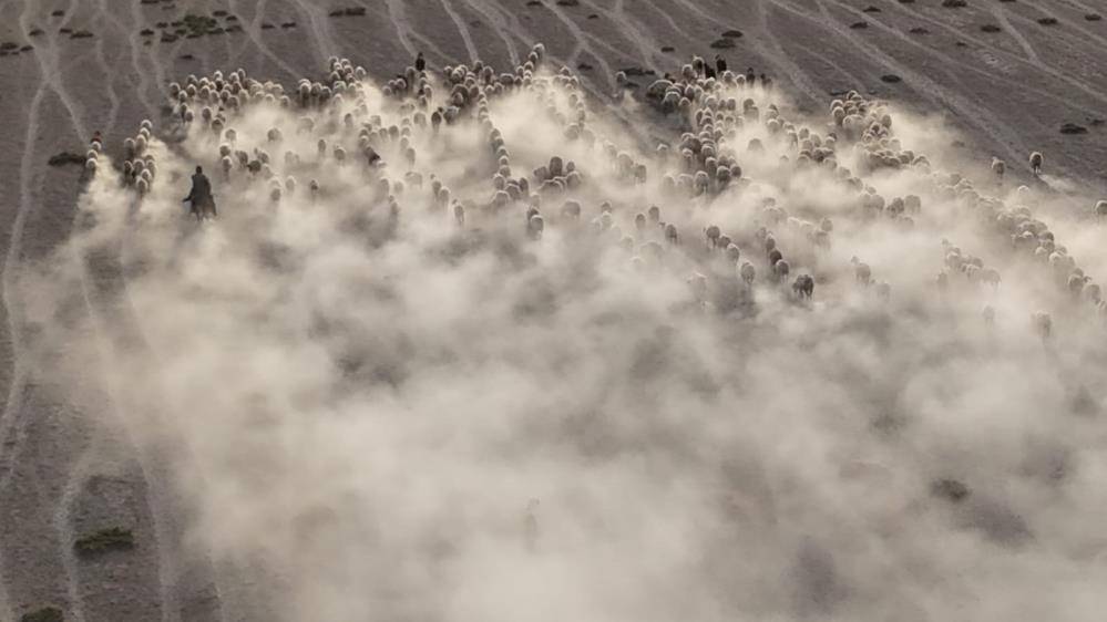 Konya’da sessizliği kuzular bozdu 8